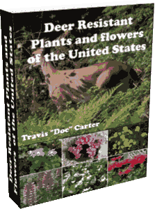 Deer Resistant Plants eBook